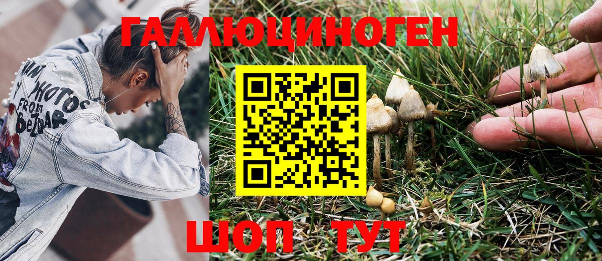 Санкт-Петербург  Псилоцибиновые грибы Psilocybine cubensis  продажа наркотиков  Вход с VPN 